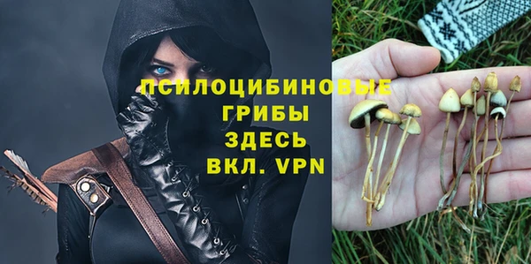 бошки Медногорск
