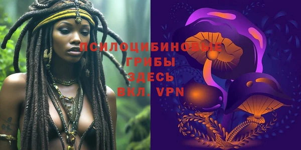 apvp Медвежьегорск
