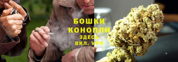 бошки Медногорск
