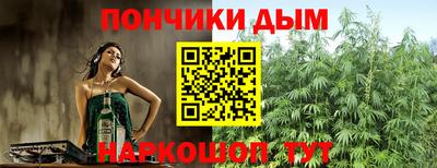 альфа пвп Новодвинск