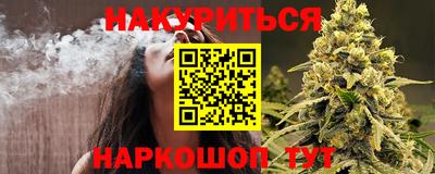 сатива Новокубанск