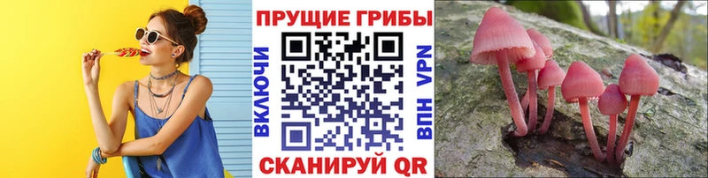 Галлюциногенные грибы прущие грибы  Старый Оскол 